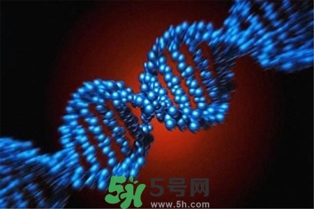 不宜過(guò)多食用辣椒的人群有哪些？夏天吃辣椒的好處有哪些？