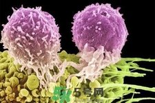 不宜過(guò)多食用辣椒的人群有哪些？夏天吃辣椒的好處有哪些？