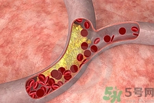 膽固醇對(duì)人體有傷害嗎？膽固醇是什么？