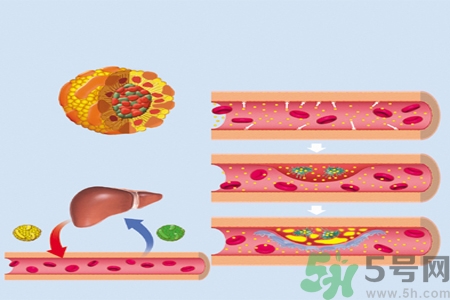 膽固醇對(duì)人體有傷害嗎？膽固醇是什么？
