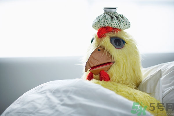 痔瘡能吃板栗嗎?痔瘡吃板栗會怎么樣呢 痔瘡能吃板栗嗎?痔瘡吃板栗會怎么樣呢