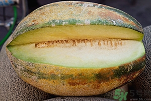 哈密瓜榨汁要加水嗎？哈密瓜榨汁搭配什么？