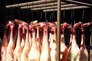 吃鴨肉會長胖嗎?鴨肉的熱量是多少 吃鴨肉會長胖嗎?鴨肉的熱量是多少