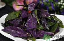吃紫貝天葵有什么好處?紫貝天葵的功效與作用 吃紫貝天葵有什么好處?紫貝天葵的功效與作用