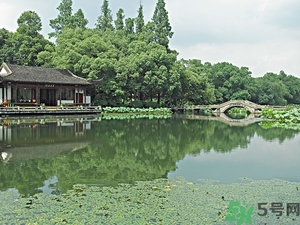 菱角是什么？菱角是什么季節(jié)成熟的？