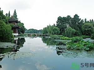 菱角是什么？菱角是什么季節(jié)成熟的？