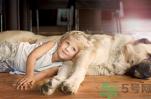 秋季如何預防過敏性鼻炎？治療過敏性鼻炎的小偏方