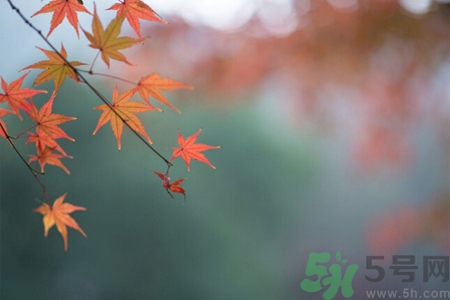 女性秋季防燥需注意哪些？女性秋季防燥吃什么？