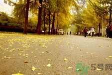 女性秋季防燥需注意哪些？女性秋季防燥吃什么？