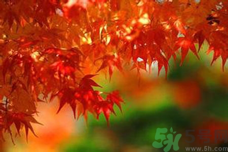 女性秋季防燥需注意哪些？女性秋季防燥吃什么？