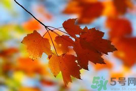 女性秋季防燥需注意哪些？女性秋季防燥吃什么？