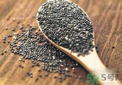 奇亞籽是什么？奇亞籽的功效作用