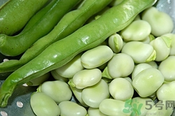 吃蠶豆有什么好處?蠶豆的功效與作用 吃蠶豆有什么好處?蠶豆的功效與作用