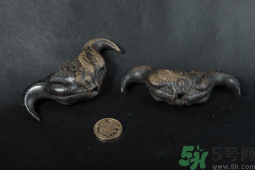 菱角可以放多久?菱角可以放冰箱保存嗎 菱角可以放多久?菱角可以放冰箱保存嗎