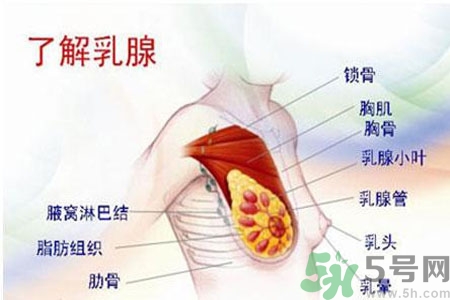 如何按摩讓乳頭變紅？讓乳頭變紅的方法？