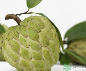 釋迦果怎么吃？釋迦的營養(yǎng)價值功效作用