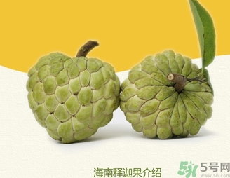 釋迦果怎么吃？釋迦的營養(yǎng)價值功效作用