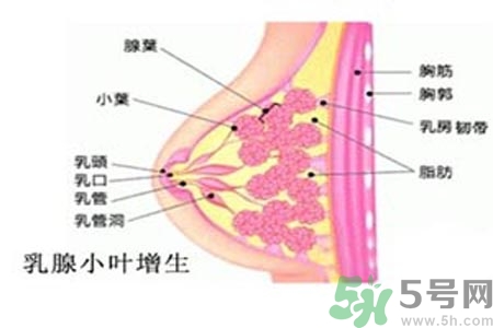女性乳腺增生的原因是什么？乳腺增生的癥狀有哪些？