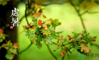 處暑如何養(yǎng)生？處暑養(yǎng)生要注意什么？