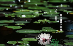 處暑如何養(yǎng)生？處暑養(yǎng)生要注意什么？