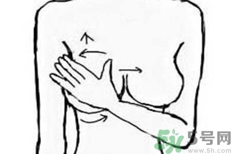 胸部二次發(fā)育是怎么回事？吃什么可以讓胸部二次發(fā)育？