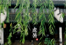 處暑代表什么?處暑的時間代表什么? 處暑代表什么?處暑的時間代表什么?