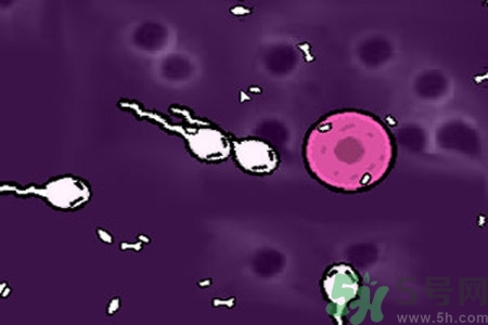 如何選擇最佳避孕方式？20歲女生的避孕常識有哪些？