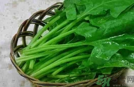 菠菜的營(yíng)養(yǎng)價(jià)值 菠菜的功效與作用及食用方法 菠菜的營(yíng)養(yǎng)價(jià)值 菠菜的功效與作用及食用方法
