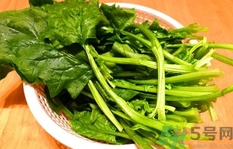 菠菜的營(yíng)養(yǎng)價(jià)值 菠菜的功效與作用及食用方法 菠菜的營(yíng)養(yǎng)價(jià)值 菠菜的功效與作用及食用方法