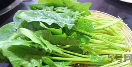 菠菜的營(yíng)養(yǎng)價(jià)值 菠菜的功效與作用及食用方法 菠菜的營(yíng)養(yǎng)價(jià)值 菠菜的功效與作用及食用方法
