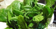 菠菜的營(yíng)養(yǎng)價(jià)值 菠菜的功效與作用及食用方法 菠菜的營(yíng)養(yǎng)價(jià)值 菠菜的功效與作用及食用方法