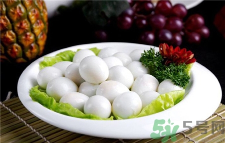 鴿子蛋就是鵪鶉蛋嗎?鴿子蛋和鵪鶉蛋哪個(gè)營養(yǎng)價(jià)值高 鴿子蛋就是鵪鶉蛋嗎?鴿子蛋和鵪鶉蛋哪個(gè)營養(yǎng)價(jià)值高