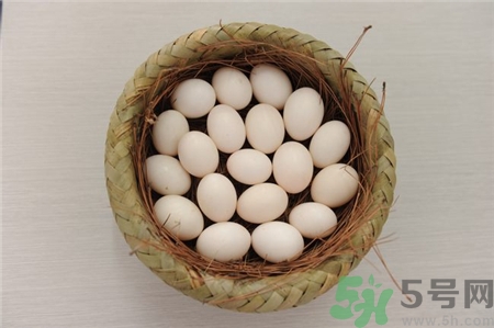 鴿子蛋可以和雞蛋一起吃嗎?鴿子蛋雞蛋哪個有營養(yǎng)? 鴿子蛋可以和雞蛋一起吃嗎?鴿子蛋雞蛋哪個有營養(yǎng)?