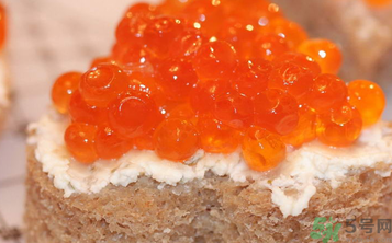 魚(yú)子醬的營(yíng)養(yǎng)價(jià)值 魚(yú)子醬的食用功效 魚(yú)子醬的營(yíng)養(yǎng)價(jià)值 魚(yú)子醬的食用功效