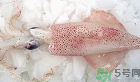 吃魷魚可以喝牛奶嗎?魷魚能和牛奶一起吃嗎? 吃魷魚可以喝牛奶嗎?魷魚能和牛奶一起吃嗎?