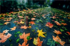 一場秋雨一場寒的意思?一場秋雨一場寒從什么時(shí)候開始? 一場秋雨一場寒的意思?一場秋雨一場寒從什么時(shí)候開始?