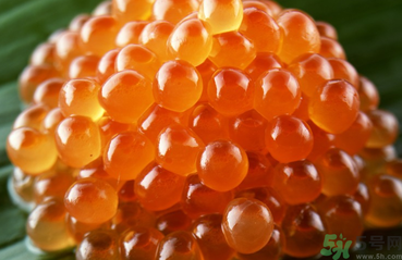 魚籽怎么清洗？魚籽怎么保存？