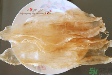 魚膠是什么？魚膠的功效與作用？