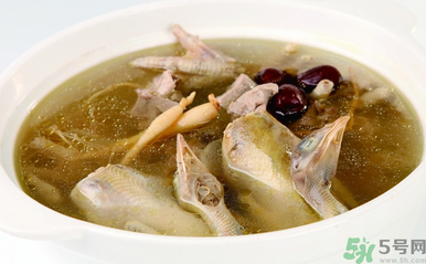 孕婦可以吃魚膠嗎？魚膠怎么燉適合孕婦吃？