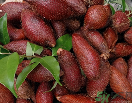 孕婦可以吃蛇皮果嗎？孕婦吃蛇皮果有什么好處？