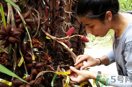 孕婦可以吃蛇皮果嗎？孕婦吃蛇皮果有什么好處？