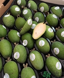 斐濟(jì)果的營(yíng)養(yǎng)價(jià)值 斐濟(jì)果的功效 斐濟(jì)果的營(yíng)養(yǎng)價(jià)值 斐濟(jì)果的功效