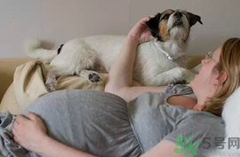 孕婦可以養(yǎng)狗嗎？養(yǎng)狗對孕婦有影響嗎？