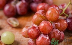 吃提子可以喝牛奶嗎?提子能和牛奶一起吃嗎? 吃提子可以喝牛奶嗎?提子能和牛奶一起吃嗎?