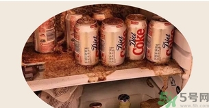 可樂可以放冰箱冷凍嗎?可樂放冰箱冷凍會(huì)炸嗎? 可樂可以放冰箱冷凍嗎?可樂放冰箱冷凍會(huì)炸嗎?