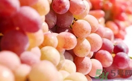 吃提子可以喝豆?jié){嗎?提子能和豆?jié){一起吃嗎? 吃提子可以喝豆?jié){嗎?提子能和豆?jié){一起吃嗎?