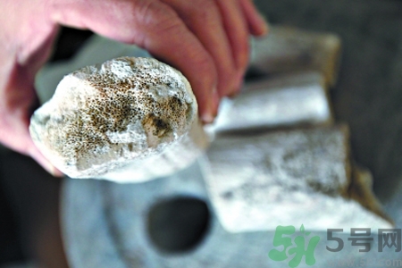 鹿角霜的藥用價值是什么？鹿角霜的功效和作用