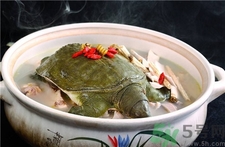 孕婦可以吃甲魚嗎?孕婦吃甲魚有什么影響? 孕婦可以吃甲魚嗎?孕婦吃甲魚有什么影響?