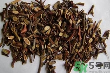 皂角刺的藥用價值是什么？皂角刺的功效與作用有哪些？