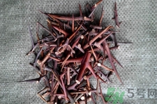 皂角刺的藥用價值是什么？皂角刺的功效與作用有哪些？